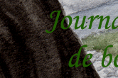 actualités