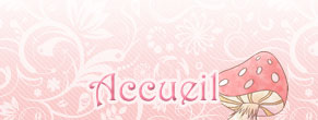 accueil book