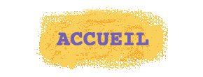 accueil book