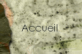 accueil book