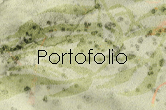 portefolio