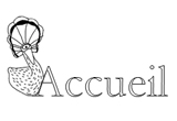 accueil book