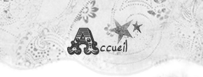 accueil book