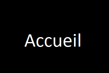 accueil book
