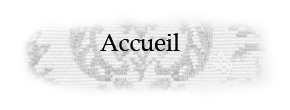 accueil book