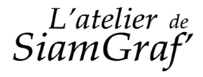 accueil book