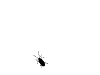 2197734765_1.gif