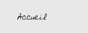 accueil book