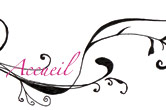 accueil book
