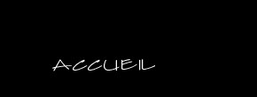accueil book