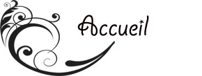 accueil book