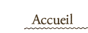accueil book