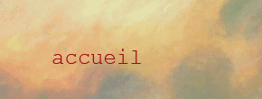 accueil book