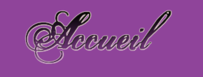 accueil book