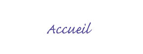 accueil book