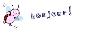 accueil book