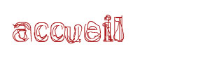 accueil book