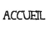 accueil book