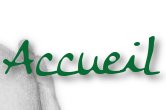 accueil book