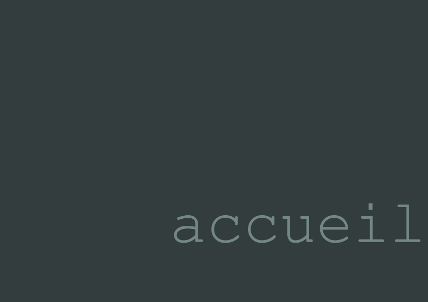 accueil book