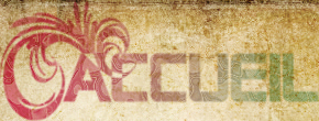 accueil book