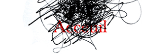 accueil book