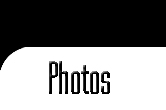 portefolio