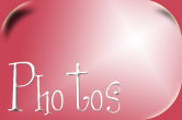 portefolio