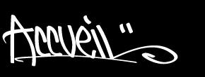 accueil book