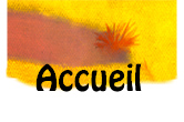 accueil book