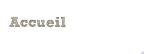 accueil book