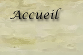 accueil book