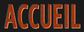 accueil book