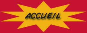 accueil book