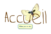 accueil book