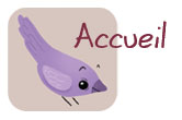accueil book