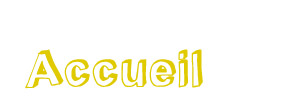 accueil book