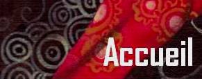accueil book