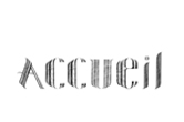 accueil book