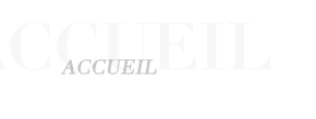 accueil book