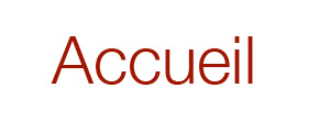 accueil book