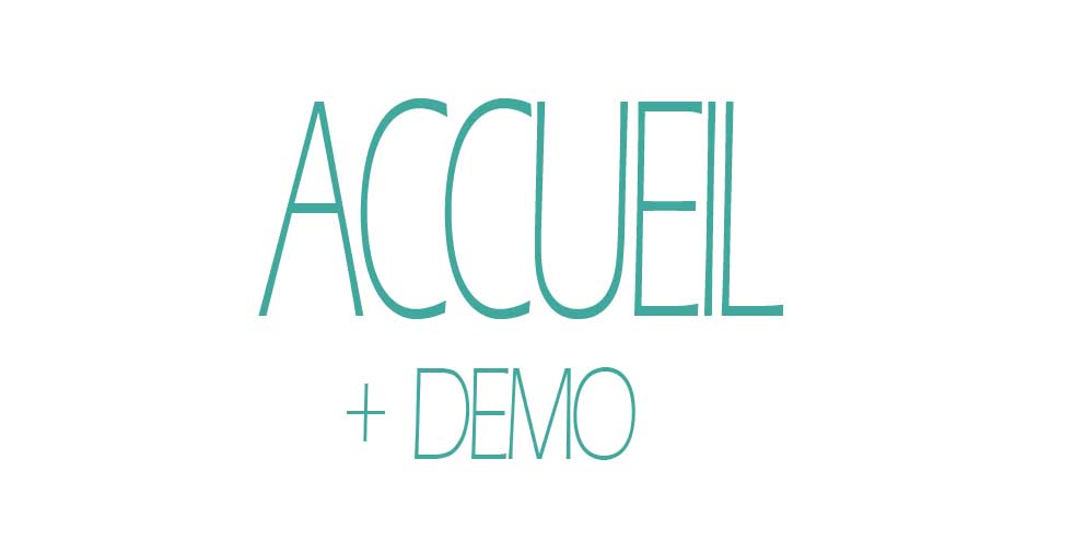 accueil book