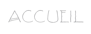 accueil book