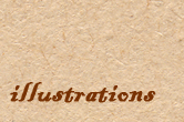 portefolio