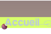 accueil book