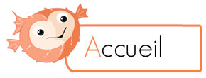 accueil book