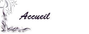 accueil book