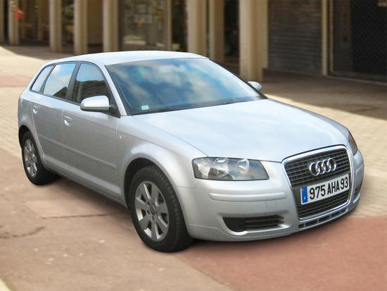 Paca Audi : Book