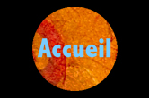 accueil book