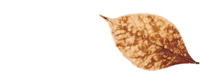 accueil book